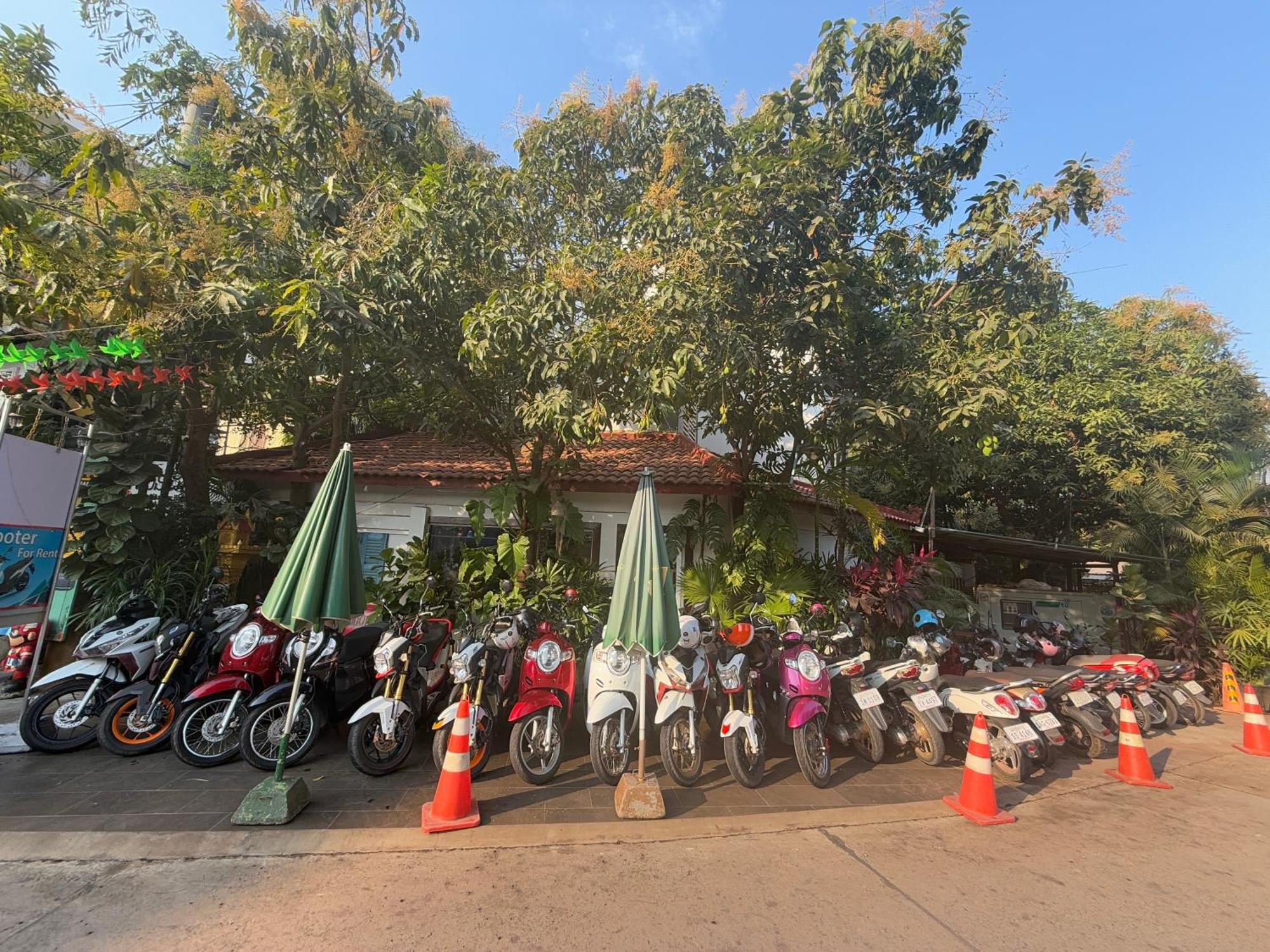 Asanak D'Angkor Boutique Hotel Siem Reap Exteriör bild